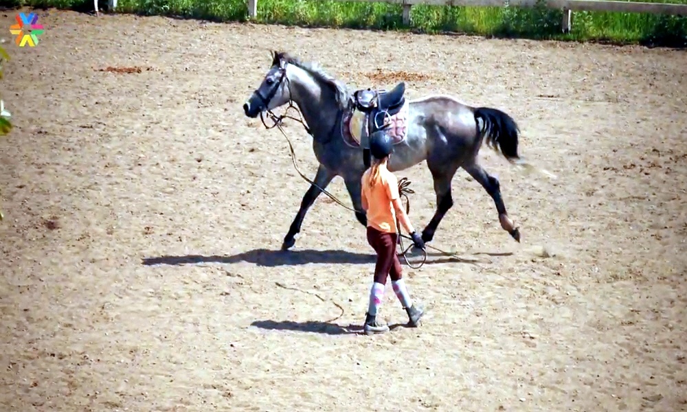 Развитие конного спорта в России